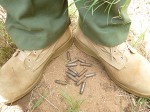 Empty rifle shells found at the location of the elephant carcasses. 
