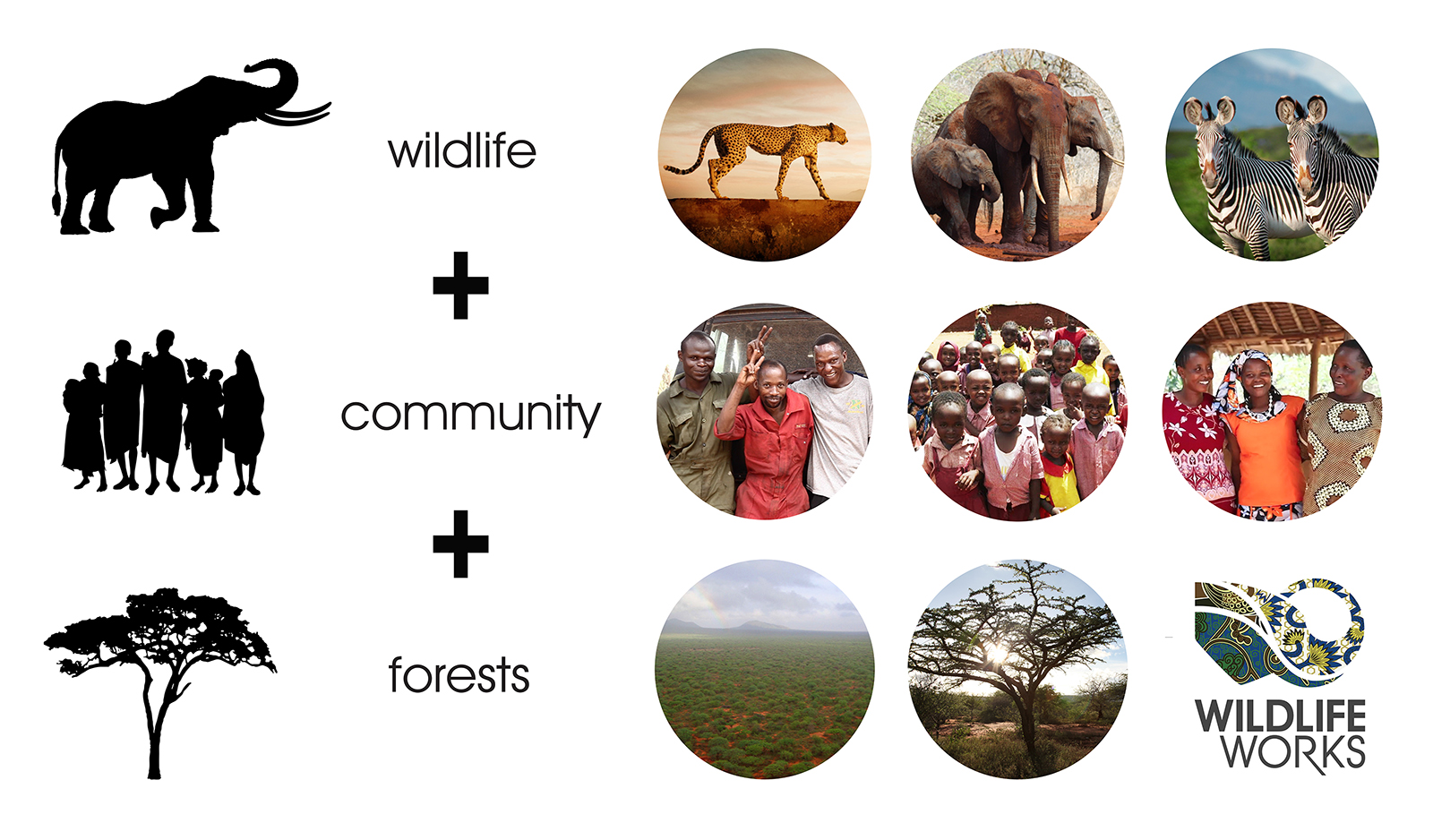 offset my carbon footprint with Wildlife Works