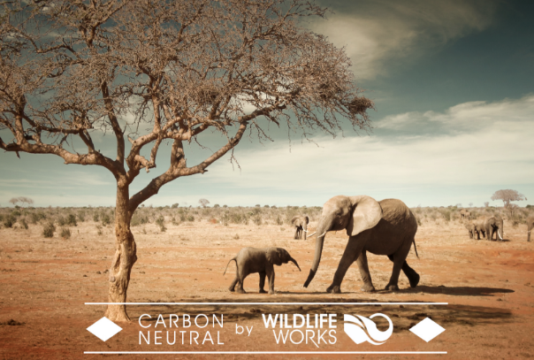 offset your carbon footprint with Wildlife Works